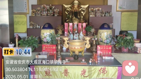 修心处事，自愈成长
