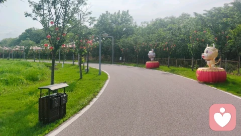 破茧成蝶：挣脱命运枷锁，追寻自我价值