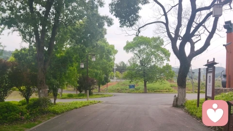 情感心理路程，疗愈之路