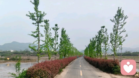 生活本是一场修行