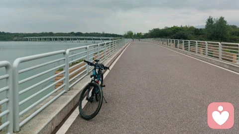 心在流浪，半生浮沉