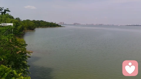 击穿自恋型情感阴霾：拆解创伤，完成自我重生