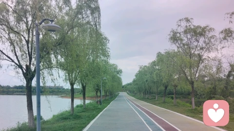 所谓自杀式单身：不是孤独终老，是清醒自渡