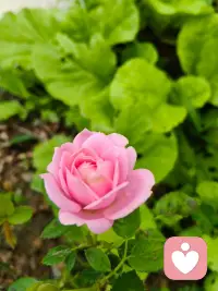 先成为“对的人”
  
          再遇见“对的人”