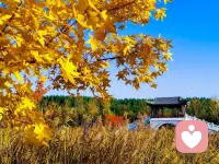 所有的绚烂🎉
都必经耕耘
就像一场繁盛的秋天🍂
你不应只看到果
而不看到因💞
早安!亲爱的你🌹
早安!周中快乐🌈