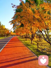 你生命中出现的问题并不是要阻止你,而是要唤醒你。   ——荣格