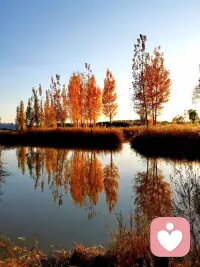 孩子不会听你的话,但是会模仿你的行为。——荣格