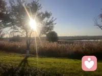 真正意義上的樂觀，是了知一切事物都有正反兩方面。

在此基礎上，選擇從正向的角度看問題。這是屬于有智慧的樂觀。

具備這種能力，不論遭遇什么，都能發現其中積極的一面，而不是被外在境遇影響。配圖