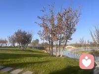 咖啡因其實來自咖啡果。
醒來了以后才知道自己睡了一覺。
我是不是小時候的自己留在世上的遺物啊
有目的的人生才會迷路，我只是來這個世界散步。抽時間是對時間的施暴。
苦難是生物的防沉迷系統。
小時候偷嘗了一口大人的香煙，
皺著眉頭，遠遠的遞給了現在的自己。配圖