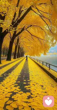 戀愛一直順利的小秘密

第一
切勿過度關切對方生活，切莫自行臆想。對方愿分享時，靜心聆聽；若無分享欲，不必追問。愛情是相互吸引，而非強求所得。
 
第二
務必保持獨立，不依賴他人。無論情感或生活，勿對他人抱有過高幻想，也別過早綁定彼此的未來。要有愛一個人的勇氣，也要有離開的底氣。
 
第三
愛的本質是價值互換。對方給你什么價值，你也應回饋相應價值。分手未必是誰不好，只是供需不再匹配，無法繼續交換。
 
第四
不要過度剖析對方，尤其別糾結于瑣碎細節。反復琢磨只會折磨自己，對方卻毫無感覺。
 
第五
熱愛自己、熱愛生活、熱愛工作。任何一項都足以讓你充實，別整天盯著對方——否則就是你腦子不清醒。
 
第六
一個人最高級的能力，是自我管理且向內探求。無論愛得多深，關鍵要看對方身上是否有你所需，是否愿意與你同行，能否對你偏愛。
 
第七
不可輕易暴露需求感。所有看似無私的愛，背后皆有條件。總期望別人滿足你，只會讓你被動、焦慮，甚至被對方看低。
 
第八
別過分在意回復消息的速度。成年人各有各的忙碌與空間。處理好自己的事，找點樂子，比盯著屏幕強得多。
 
第九
兩個人都不聯系，誰會先忍不住？主動不掉價，真正讓你處于低位的是那種不斷等待、不停內耗的弱者心態。別把感情的主動權拱手讓人。
 
第十
別談“扶貧式戀愛”。你可以付出，但別供養。好的關系是互相成就，而非單方面填補對方的缺口。
 
第十一
別把承諾當合同。說得再美，不如做得實在。聽其言，觀其行，時間自會給你答案。
 
第十二
別在感情里找爸/找媽。你是一個完整的成年人，要的是并肩同行的伴侶，不是來補你童年缺口的拯救者。配圖