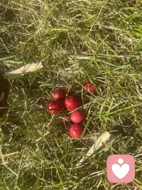 人生如同故事，
重要的并不是篇幅有多長(zhǎng)，
而是內(nèi)容有多好。
                  ——塞涅卡（哲學(xué)家）。配圖