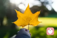 ?????????? ??????????????????????

人生本就難全
錯過的相遇[擁抱]
未達的期許
都是尋常??
不必揪著遺憾
反復回望??
全力以赴的過程
已藏著閃光??
遺憾是常態
盡力是底氣??
認真走過每一步
便不算辜負時光??
也不負自己

早安！親愛的你??
早安！周中快樂??配圖