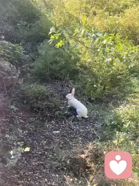 療愈，不是馬上解決問題的能力，而是一種“愿意陪伴自己”的能力。
它不會讓你立刻平靜、立刻不再痛苦，沒有人和工具能夠做到。
但它會一點一點，幫你把自己帶回來，
帶回一個更真實、更溫柔、更自由的現(xiàn)在。
希望你也能慢慢地，學會這樣對待自己。