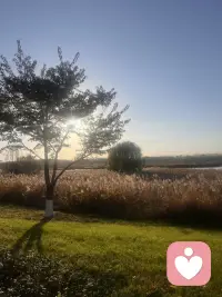 接受和應(yīng)對憤怒的五個步驟：
1.停下來，呼吸，什么也不做，什么也不說。

2.允許自己給所有的評判和要求留出足夠的空間。當你擁抱評判時（而不是進一步評判這些評判），觀察你內(nèi)心發(fā)生的變化。

3.聯(lián)結(jié)評判和要求背后的需要。

4.與你的感受聯(lián)結(jié)。當憤怒的感受轉(zhuǎn)化為其他同等強烈的感受時，你就與自己的需要聯(lián)結(jié)。

5.表達感受和未滿足的需要，并且提出你認為有助于滿足需要的請求。