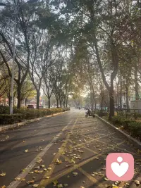 ???? ?????????????? ?????? ??

冬天從不虧待我們??
它以寒冷為畫布
用溫暖作筆???
教會我們?nèi)绾?更深刻地感知幸福??
愿你我都能接住
這份季節(jié)的饋贈??
在每一個平凡日子里
暖意叢生??

早安！親愛的你??
早安！今天也要開心哦??