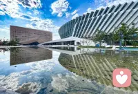 真正的坚硬，不是来自体格的魁梧，性情的彪悍，而是内心的温良和人性的光亮。