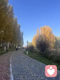 你淡淡的，日子就顺顺的，
越放宽心，日子就会越好！
不纠结别人对你高不高兴，
不琢磨事情办得周不周到，都不必要。
慢悠悠的过，稳稳当当的活。
不是混日子，是不慌不忙，这就是最通透的智慧。