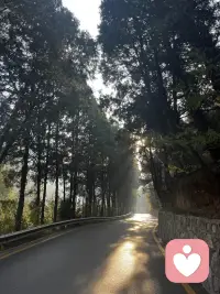 早安，亲爱的～

清晨的风，
刚刚好。

不是催促你加快脚步，
而是提醒你——
方向，比速度更重要。

活着是旅程，
不是流程。

你不需要把人生
过成一张待办清单，
也不必每一步
都有标准答案。

走慢一点，
看看沿途的风景；
走偏一点，
也许会遇见新的可能。

重要的不是
有没有按计划完成，
而是——
你有没有真实地走在自己的路上。

——
🧡 美好的你，早安～

#每天早上先对自己微笑一次