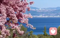 🚴🏻 𝒜𝓂𝒶𝓏𝒾𝓃𝑔 𝒟𝒶𝓎 🌿

做好想做的事就释然了😎
忙的时候有条不紊
闲的时候守心自暖🔥
忙得有价值
闲得有趣味🤗
这才是生活该有的节奏

早安！亲爱的你🌹
早安！周末愉快💐