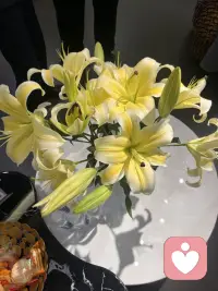 我知道心理治疗不能让所有问题都消失无踪，不能预防新的问题产生，也不会确保我之后的行动都是明智之举。治疗师无法为来访者移植一个不一样的性格，他们只能帮助来访者磨去棱角，让来访者变得不那么容易反应过激、不那么苛责，变得更开放，能让别人走进他们的心灵。换句话说，心理治疗的重点就在于理解真正的自己。但要了解自己就必须先抛开对自己的固有认知——抛开那些你塑造出来限制自己的人设，这样你才不会裹足不前，才能活出真实的自己，而不是活在自己给自己描述的故事里。