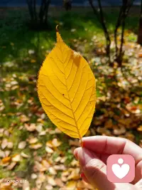 认识自己是一切智慧的开始。—— 亚里士多德
