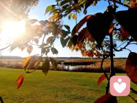 破防了😭虐待产生忠诚
武志红老师才说：真爱制造分离，施虐制造忠诚
精神分析名言：虐待培养忠诚，爱培养自由
.
虐待产生忠诚的原理主要源于“创伤性联结”。这是一种在虐待关系中“受害者”与“施暴者”之间形成的特殊依恋关系
.
受害者长期遭受控制、剥削或虐待后，反而对施害者产生情感上的依赖和忠诚。这可能是因为受害者过于依赖施害者，认为世界上不会有人真正爱自己，或者因为受害者将虐待误解为一种爱的表现，从而在这种不健康的关系中寻求安全感和归属感。这种忠诚并非基于真正的爱，而是一种心理机制的作用。


像有的女孩子，明知道这个人不怎么样，也很清楚他只是在跟你玩，把你折磨的死去活来，但你就是离不开，放不下，非要抓往个人不放手，那大概率不是因为你爱他，而是因为你们之间存在着创伤性连结


这跟一个孩子在童年时期和养育者之间的依恋模式有关系。

因为不曾走进健康的亲密关系，会在众多人群中去搜寻那个让她特别痛苦的人，因为只有这样，才可以闻到一个熟悉的味道，才能体验到被爱的感觉。
同样适用于家庭关系。特别常见的，父母对待最差的那个孩子往往越忠诚。


小孩子不懂什么是爱，只知道要博取父母的喜欢，即使对自己更差，但是因为太渴望得到他们的偏爱，这种执念甚至可以延绵一生，小时候的感受与渴求，困住了长大后的自己

创伤性连接对受害者的影响是巨大且负面的。它可能导致受害者难以摆脱虐待关系，自我价值感降低，出现焦虑、抑郁等心理问题，甚至影响到他们未来建立健康关系的能力

假如你现在陷入这种状态里，必须要学会去打破它。否则会进入一种无限循环中，因为这样的人对痛苦是上瘾的。一定要及时止损，陷入这种状态，很大的程度是自我价值感太低，打破这种状态最好的办法，去提升自己、去治愈自己。一点点的将注意力转移到自身

任何健康的关系都是建立在反思和学习之上。不愿意付出时间和直面问题，就要一代代延续这样的共生模式
相反，一次觉醒和解放自己，才可能会带来自由的人生和真实的爱💕💕配图