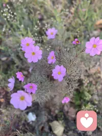 关系里的爱和滋养，是我们生活的原动力。