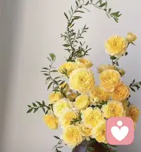 自信就是我们日常生活里描述自我价值感充分带来的一个状态的感觉。

获得价值感的途径：制造机会多做—多做到—多因做到而被肯定。

一个健康的自我价值感是在18岁以前得到5000次的肯定。