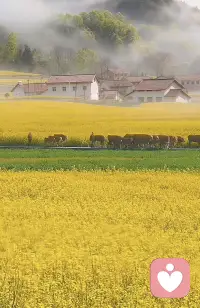 🧡𝗡𝗶𝗰𝗲 𝗱𝗮𝘆🌸𓏸🍓𓂐ꕤ

晨光正好
心情闪耀🌟
揣着满腔热血出发
做个眼里有光的人✨
去邂逅
生活里的小确幸💖

早安！亲爱的你🌹
早安！开心快乐每一天🥰