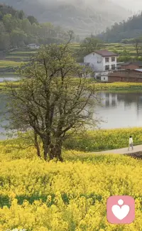 没有有问题的人 ，只有不懂得爱的人或者在爱里受伤的人！
