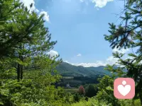 很多时候，并不是别人在折磨我们，
而是我们用自己的价值观去评判对方的是非对错，是我们在折磨自己。