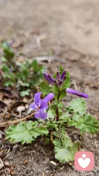 🧡𝗡𝗶𝗰𝗲 𝗱𝗮𝘆🌸𓏸🍓𓂐ꕤ

所有情绪皆有来路🛣️
所有经历皆为成长
不必抱怨，不必遗憾😎
坦然为过往买单
从容向未来前行👣

早安！亲爱的你🌹
早安！新周快乐💖配图