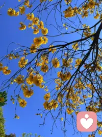 你连想改变别人的念头都不要有。
要学习太阳一样，
只是发出光和热，
每个人接收阳光的反应有所不同，
有人觉得刺眼，
有人觉得温暖，
有人甚至躲开阳光。 

/卡尔·荣格配图