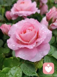 爱自己，不等于爱一个更好的自己。

爱自己，是原谅那个不够好的自己。