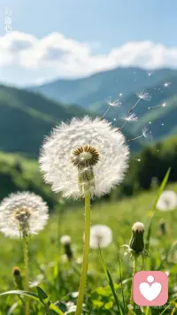 🌵ꔛᐝʍօʀռɨռɡˎˊ˗

心有暖阳，何惧风霜
眼里有光，所见皆坦途🌟
愿你温柔且坚定
被这世界温柔以待🥰

早安！亲爱的你🌹
早安！今天也要开心🌻配图