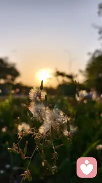 ✏️𝒢𝑜𝑜𝒹 𝓂𝑜𝓇𝓃𝒾𝓃𝑔🍃ᵕ̈🌵ᵕ̈

看过了起落，尝过了冷暖❄
终于学会了与生活和解
不再为琐事烦忧⛵
不再因得失挂怀
心宽了，路自然就顺了💫

早安🌈🏡ᵕ̈* ᙚᵐⁱᒻᵉ☀.配图