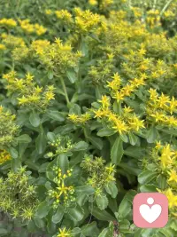 “此心安处，即是道场。”

——好的环境我来享受，

不好的环境我来历练，。