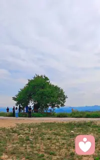 你是谁你就会遇到谁！
贵人因你的自信而来； 欺负你的人，
因你内在力量的暂时不足而来；
爱你的人因你的自爱而来；
辜负你的人，因你自我价值感的暂时模糊而来……
所以不管你现在遇到什么样的挑战境遇，你只需要与真实的自己同在。
清醒时做事，迷茫时读书，烦躁时运动，焦虑时行动，把自己照顾好，把面前的事做好，把重要的人爱好，你就会越来越好！