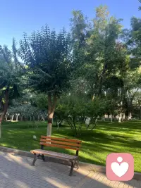 💖 今日同行

很多时候，
我们以为自己是在付出。

但回头看看，
有些付出背后，
其实藏着一个小小的期待：

希望被看见，
希望被感谢，
希望被回应，
希望自己的好被认可。

这并不是错。

因为每个人都渴望连接，
渴望被珍惜。

只是当我们的给予，
一直等待一个回应时，
那份给予也会慢慢变得沉重。

真正自由的给予，
不是因为对方值得，
也不是因为未来会得到什么，

而是这一刻，

我愿意让爱、善意和温暖，
自然地流动出去。

就像一棵树生长，
它不会问：
“今天有没有人感谢我的树荫？”

它只是按照自己的生命状态，
自然绽放。

当给予不再是一场交易，
我们也从“等待被满足”，
回到了“拥有并分享”。

❤️ 今天，可以轻轻问自己：我正在做的这件事，是因为我害怕失去什么，还是因为我内在已经拥有，所以愿意给予？配图