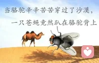 駱駝穿越沙漠時，蒼蠅搭便車卻嘲笑駱駝。駱駝回應：“你在我身上時，我根本感覺不到你的重量。”
?寓意?：別高估自己的重要性，世界離了誰都能運轉?1。配圖