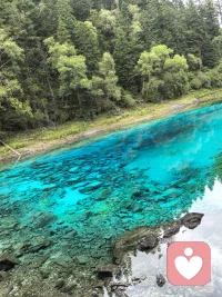 平静的心情,宛如湖面未泛涟漪,静谧而深邃,映照出内心的清晰世界。