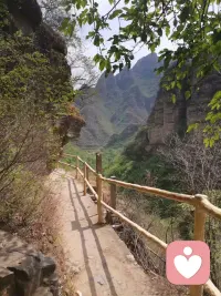 拆解笔记1—心理灵活性

学经典促转念，聚核心以高效，最近对承诺与行动疗法特别感兴趣，打算拆解一些核心笔记，供大家共同交流学习。

想象你是一名司机，你的生活方向就是巴士的行驶路线，而你的乘客则是你的想法、记忆、感受和身体感觉。

情境一：你为了安抚某些乘客（负面情绪），偏离了路线，或者试图把他们赶下车，干脆把车停在路边，结果你哪里也去不了。
情境二：你听到了乘客的叫喊，你承认他们的存在，你意识到他们只是乘客而你是司机，你看着前方的路，即便那些乘客还在吵闹，你依然双手紧握方向盘，继续朝目的地行驶。

前者陷入了心理僵硬，后者体现了心理灵活性，而后者就是承诺与行动疗法追求的目标。

心理灵活性，向内对当下的想法、情感和身体身体感受保持开放态度，不与其纠缠，也不试图回避。向外在价值导向的指引下，采取有效的行动，构建丰富、充实且有意义的生活。