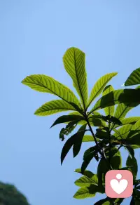 人在壓力極大的情況下會變得不自信，迷失自我，不妨停下腳步，認真思考，未來的路如何走很關鍵，重拾自信，無論何時何地，人都要自信，困難都是暫時的，未來一片美好，加油吧，少年