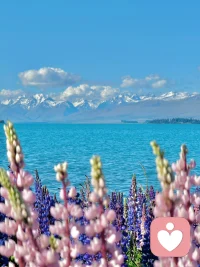 你所見到的每一個人，都是通過對方看到自己。