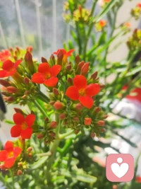 若想走出缺愛，必先學會自愛

重新養育自己，你值得被愛。