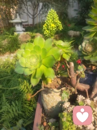 若想走出缺愛，必先學會自愛

重新養育自己，你值得被愛。