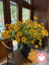 我們終其一生都在尋找愛，可是真正的愛不在外界，是在心內。當心不再外求，你會看見原本的自己。