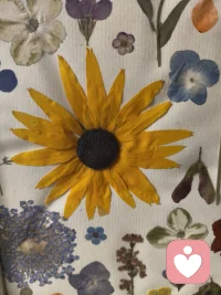 愛是這個世界上最強大的力量，無條件的愛可以撫平一切傷痛，給予前行的勇氣和力量。