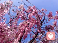 保護未成年女孩，保護弱小，是我的義務。