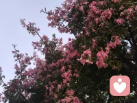 拥抱每一天，加油，不放弃。